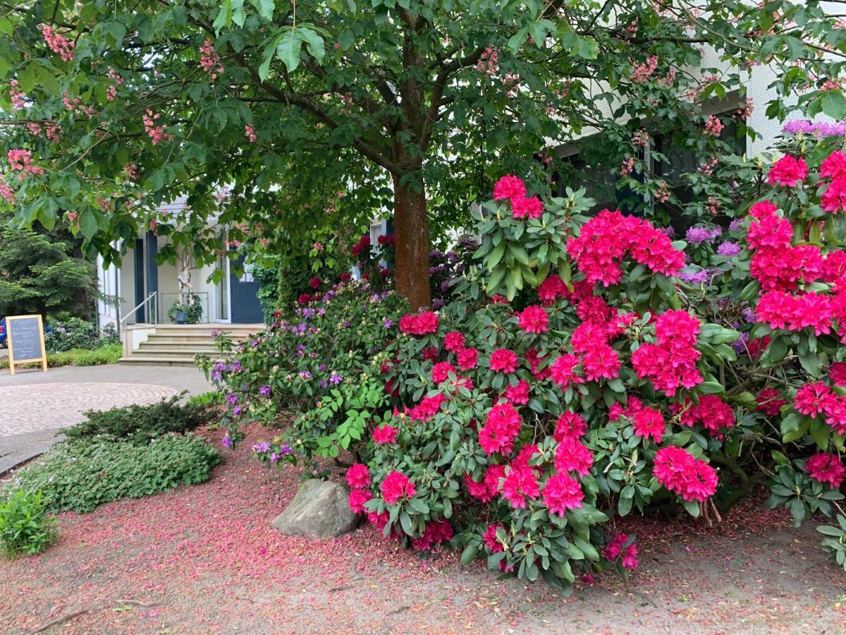 Hotel Luther Birke Wittenberg ภายนอก รูปภาพ